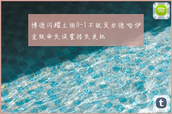 博德闪耀主场0-1不敌莫尔德 哈伊金致命失误霍格失良机