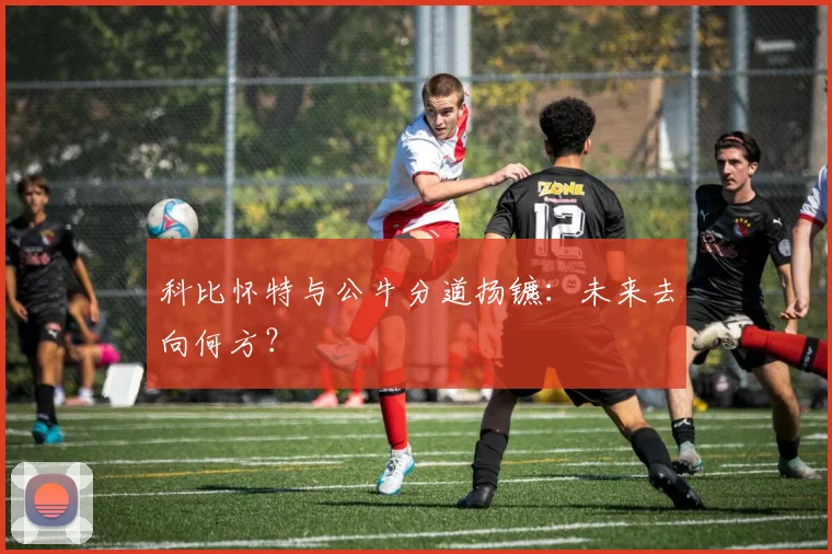 科比怀特与公牛分道扬镳:未来去向何方?